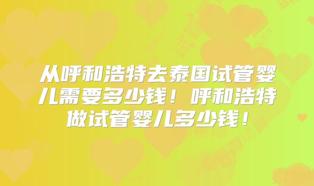 从呼和浩特去泰国试管婴儿需要多少钱！呼和浩特做试管婴儿多少钱！