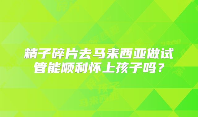 精子碎片去马来西亚做试管能顺利怀上孩子吗？