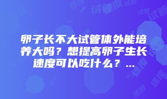 卵子长不大试管体外能培养大吗？想提高卵子生长速度可以吃什么？...
