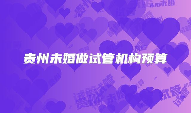 贵州未婚做试管机构预算