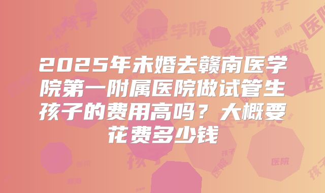 2025年未婚去赣南医学院第一附属医院做试管生孩子的费用高吗?大概要花费多少钱