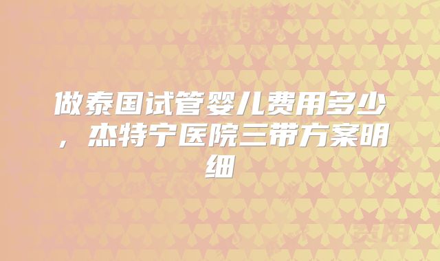 做泰国试管婴儿费用多少，杰特宁医院三带方案明细