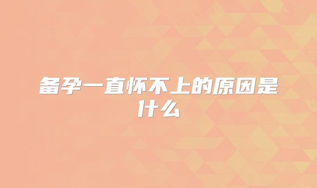 备孕一直怀不上的原因是什么