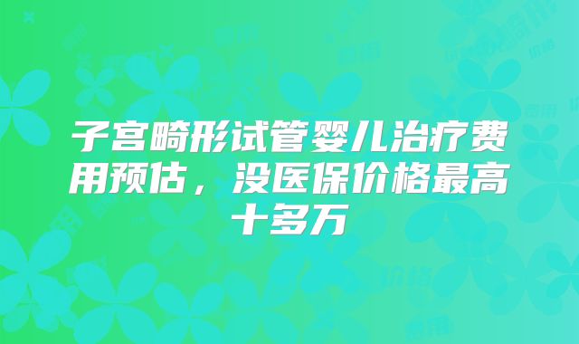 子宫畸形试管婴儿治疗费用预估，没医保价格最高十多万
