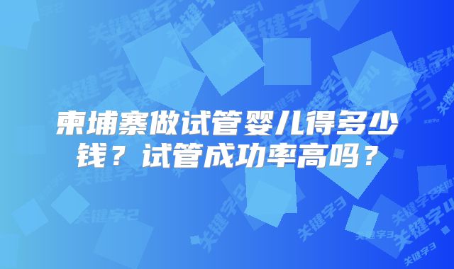 柬埔寨做试管婴儿得多少钱?试管成功率高吗?