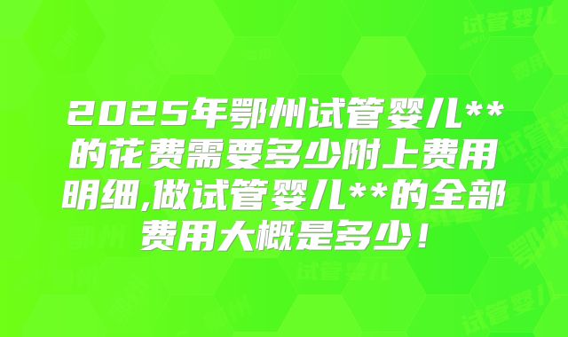 2025年鄂州试管婴儿**的花费需要多少附上费用明细,做试管婴儿**的全部费用大概是多少！
