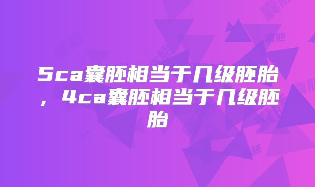 5ca囊胚相当于几级胚胎，4ca囊胚相当于几级胚胎
