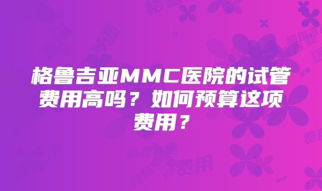 格鲁吉亚MMC医院的试管费用高吗?如何预算这项费用?