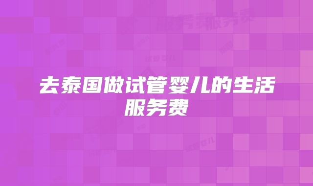 去泰国做试管婴儿的生活服务费