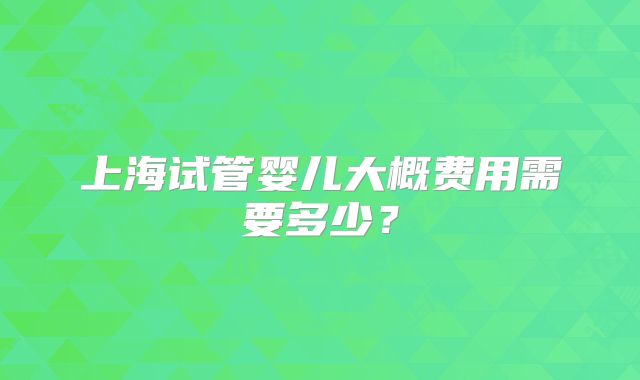 上海试管婴儿大概费用需要多少？