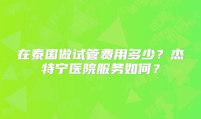 在泰国做试管费用多少？杰特宁医院服务如何？