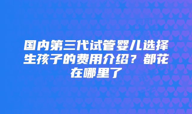 国内第三代试管婴儿选择生孩子的费用介绍？都花在哪里了