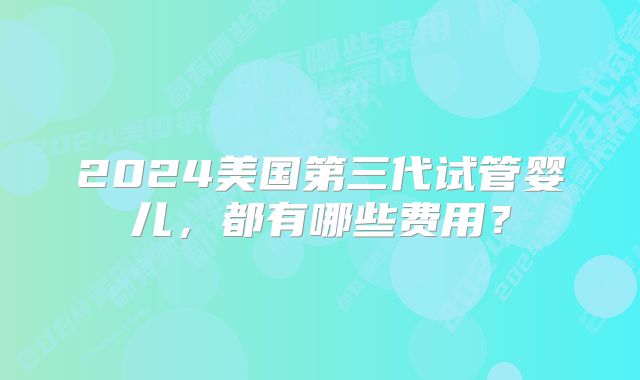 2024美国第三代试管婴儿,都有哪些费用?