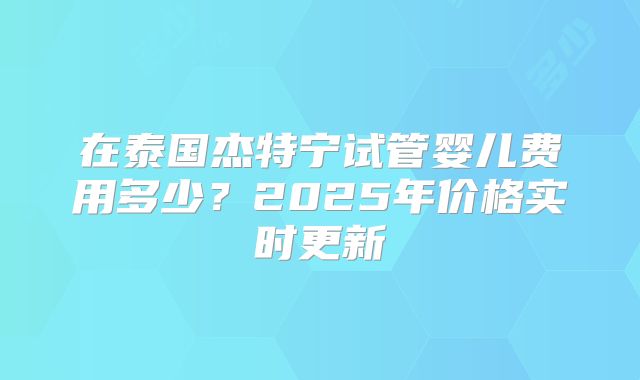 在泰国杰特宁试管婴儿费用多少？2025年价格实时更新