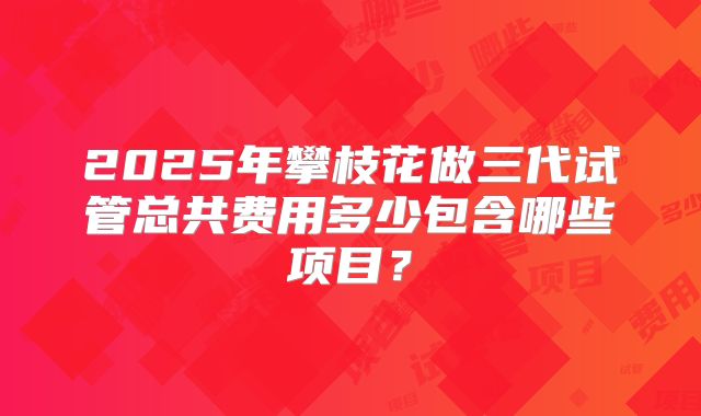 2025年攀枝花做三代试管总共费用多少包含哪些项目？