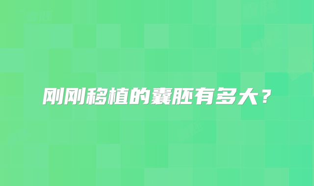 刚刚移植的囊胚有多大?