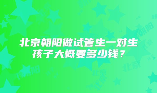 北京朝阳做试管生一对生孩子大概要多少钱？