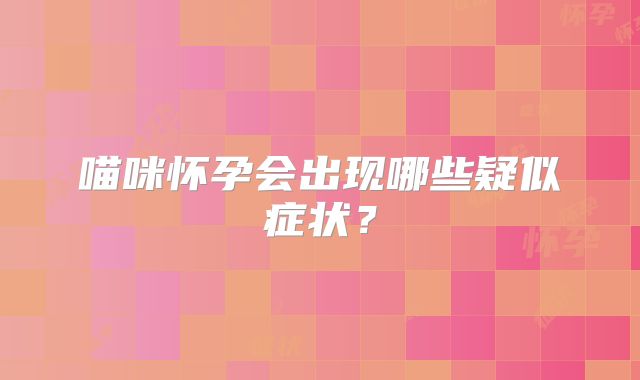 喵咪怀孕会出现哪些疑似症状？