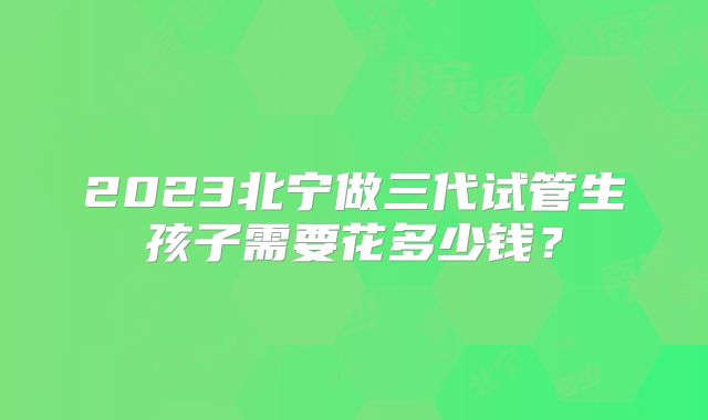 2023北宁做三代试管生孩子需要花多少钱？