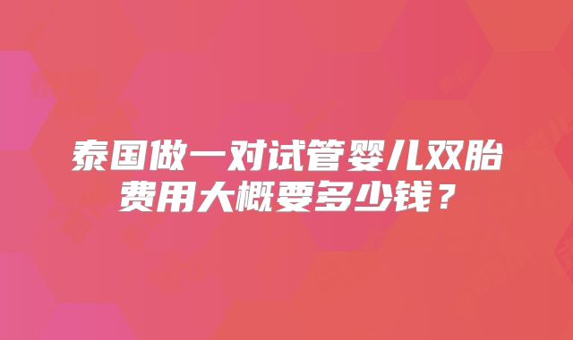泰国做一对试管婴儿双胎费用大概要多少钱？