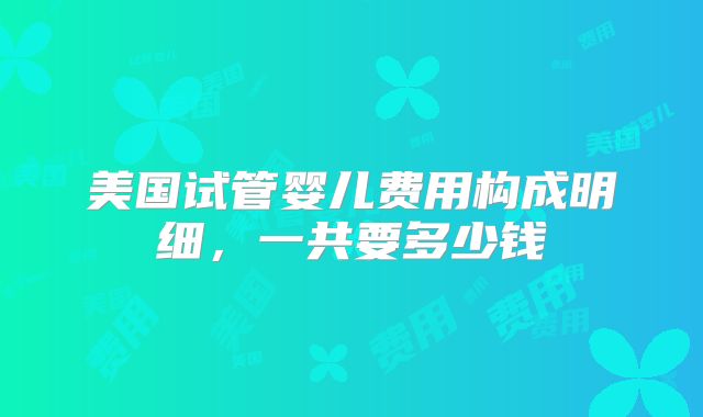 美国试管婴儿费用构成明细，一共要多少钱