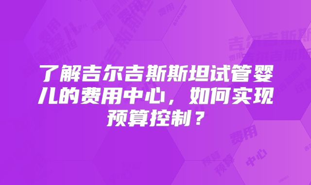 了解吉尔吉斯斯坦试管婴儿的费用中心，如何实现预算控制？
