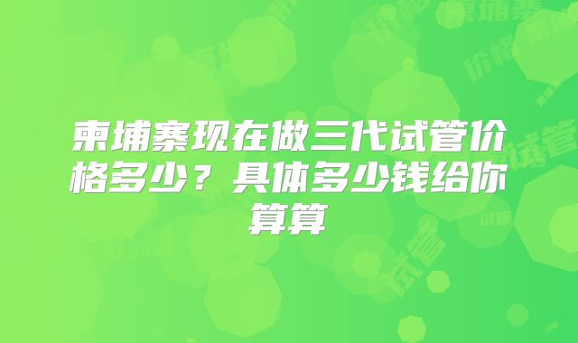 柬埔寨现在做三代试管价格多少?具体多少钱给你算算