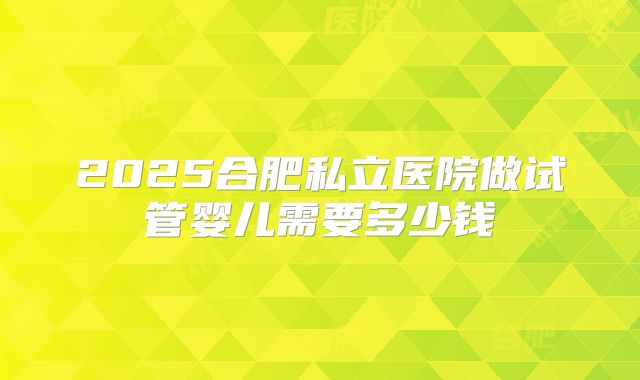 2025合肥私立医院做试管婴儿需要多少钱