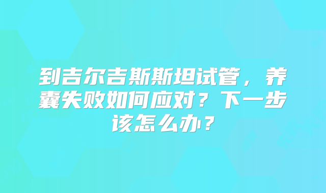 到吉尔吉斯斯坦试管，养囊失败如何应对？下一步该怎么办？