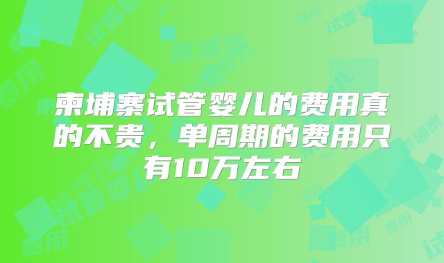 柬埔寨试管婴儿的费用真的不贵，单周期的费用只有10万左右
