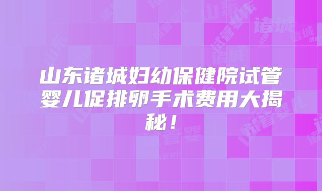 山东诸城妇幼保健院试管婴儿促排卵手术费用大揭秘!