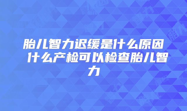 胎儿智力迟缓是什么原因 什么产检可以检查胎儿智力
