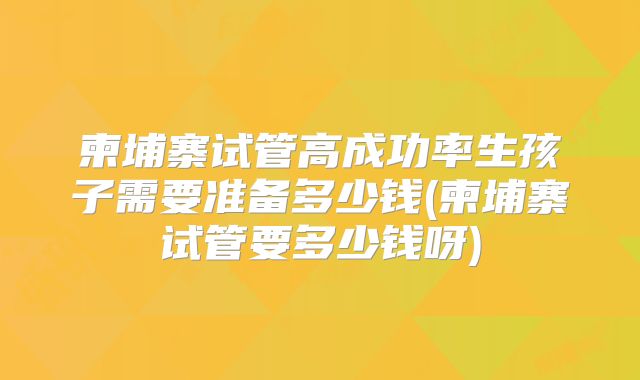柬埔寨试管高成功率生孩子需要准备多少钱(柬埔寨试管要多少钱呀)