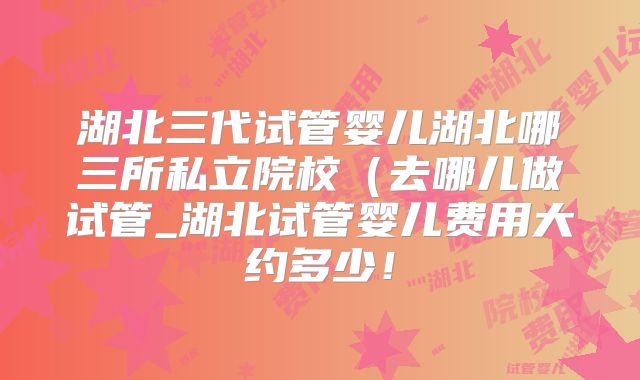 湖北三代试管婴儿湖北哪三所私立院校（去哪儿做试管_湖北试管婴儿费用大约多少！