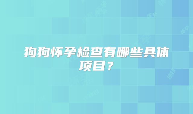 狗狗怀孕检查有哪些具体项目？