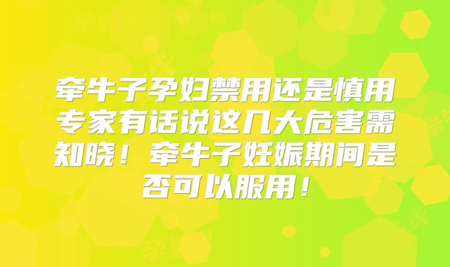 牵牛子孕妇禁用还是慎用专家有话说这几大危害需知晓！牵牛子妊娠期间是否可以服用！