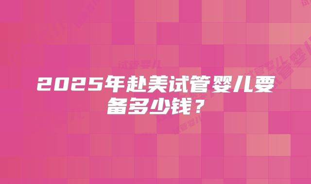2025年赴美试管婴儿要备多少钱？
