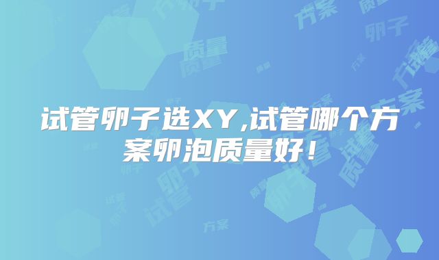 试管卵子选XY,试管哪个方案卵泡质量好！