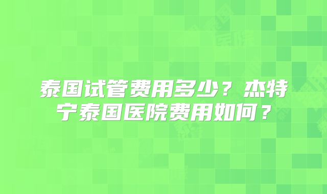 泰国试管费用多少?杰特宁泰国医院费用如何?