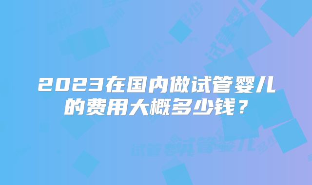 2023在国内做试管婴儿的费用大概多少钱？