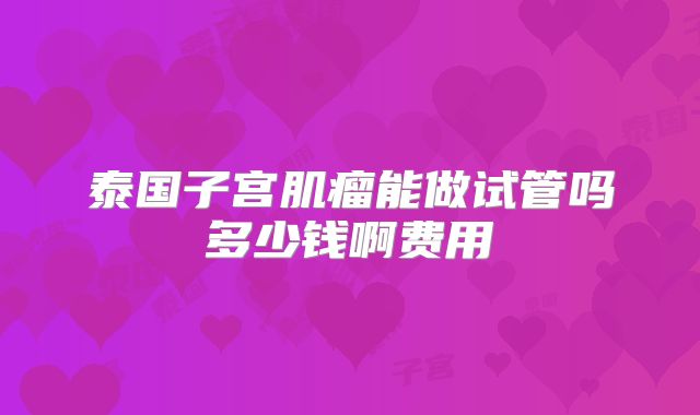 泰国子宫肌瘤能做试管吗多少钱啊费用