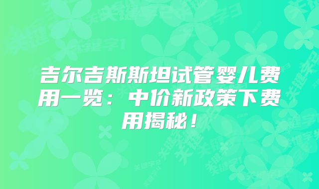 吉尔吉斯斯坦试管婴儿费用一览:中价新政策下费用揭秘!