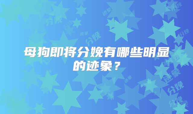 母狗即将分娩有哪些明显的迹象？