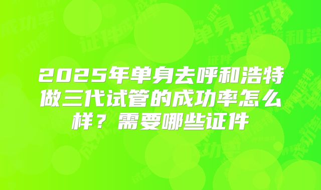 2025年单身去呼和浩特做三代试管的成功率怎么样?需要哪些证件