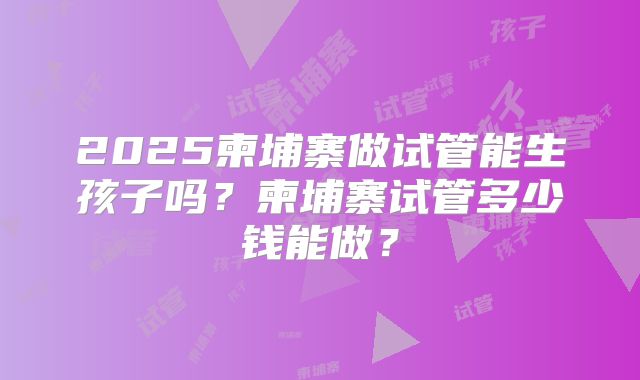 2025柬埔寨做试管能生孩子吗?柬埔寨试管多少钱能做?