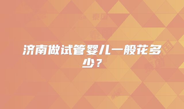 济南做试管婴儿一般花多少？