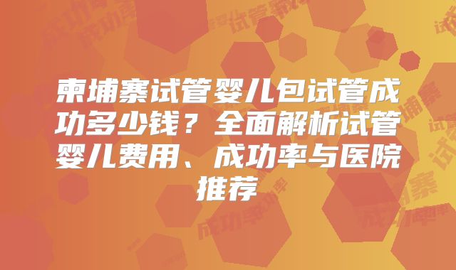 柬埔寨试管婴儿包试管成功多少钱？全面解析试管婴儿费用、成功率与医院推荐
