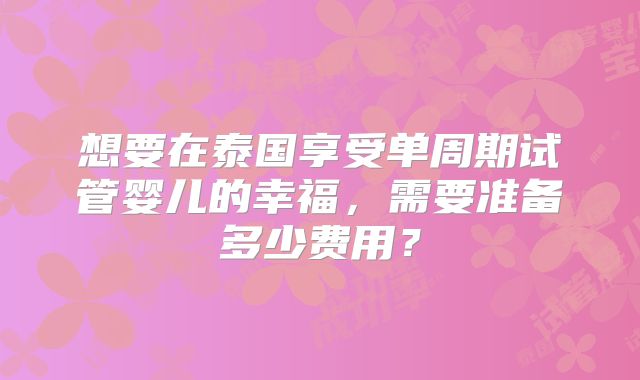 想要在泰国享受单周期试管婴儿的幸福，需要准备多少费用？