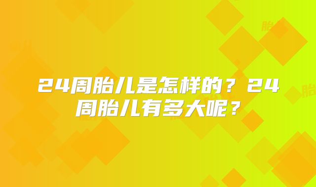 24周胎儿是怎样的？24周胎儿有多大呢？