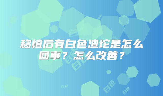 移植后有白色渣坨是怎么回事？怎么改善？